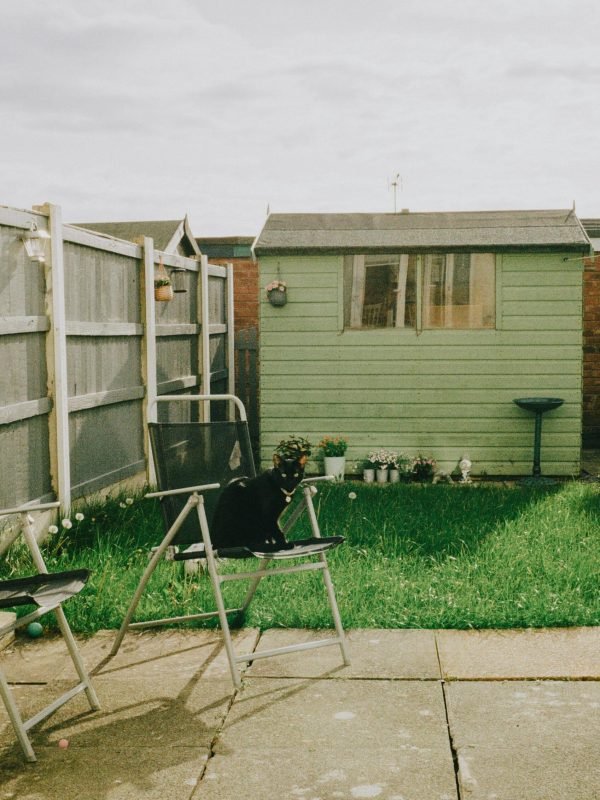 pexels-fotios-photos-22696514